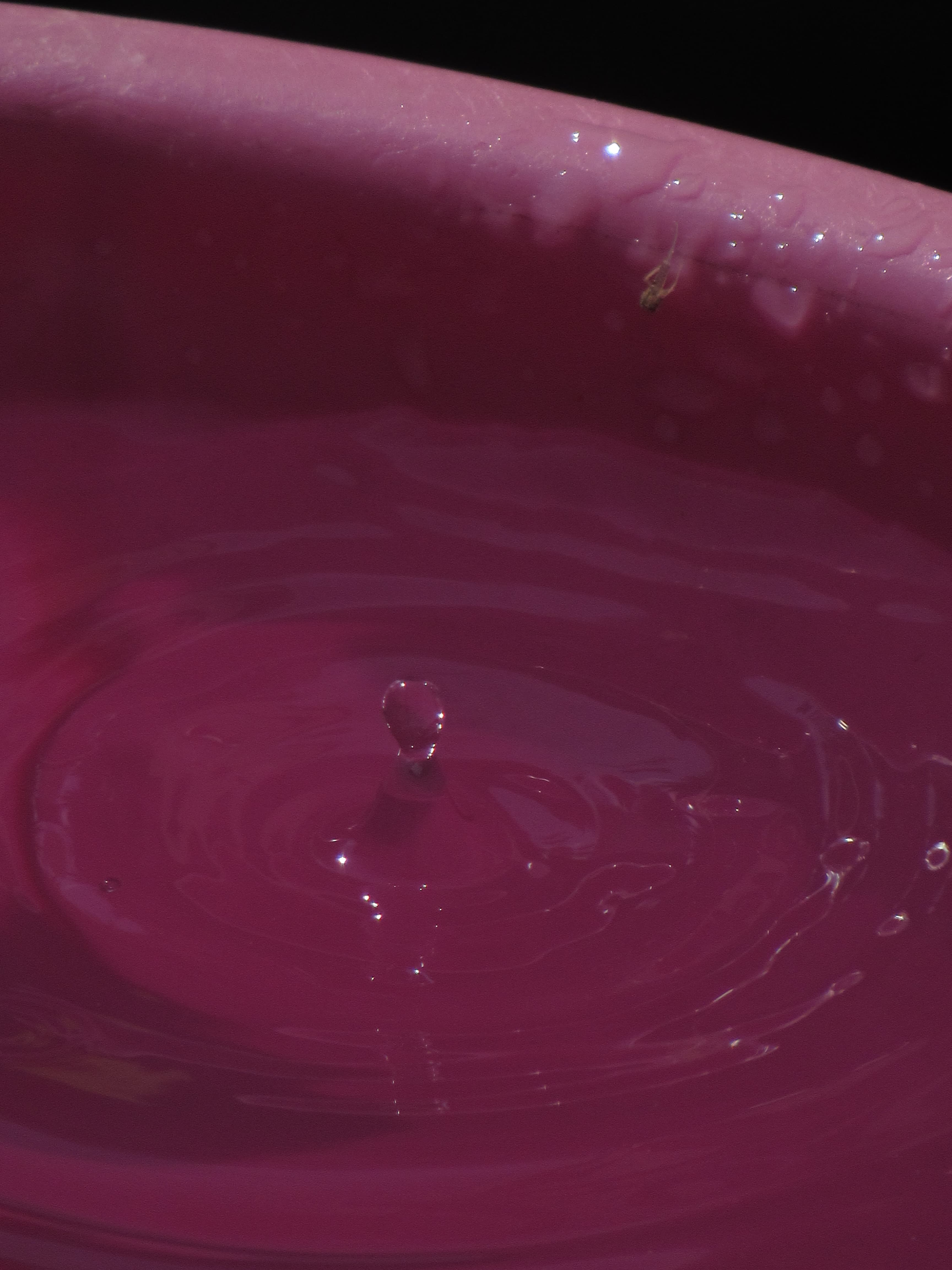Arrow 3 Asuransi T1